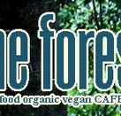 Forest Cafe  Bar - Restaurant Canberra