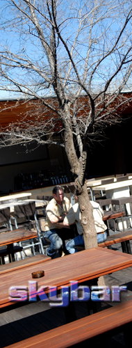 Alma Tavern - Restaurant Canberra 2