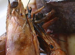 Nicks Bar And Grill - Restaurant Canberra 2