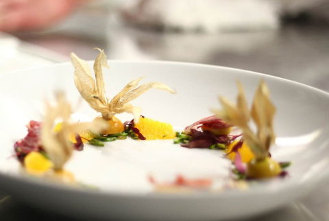 Jellyfish Restaurant - Restaurant Canberra 0