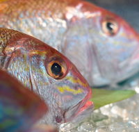 Coro Hotel - Lure Seafood Restaurant - Restaurant Canberra