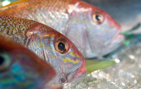 Coro Hotel - Lure Seafood Restaurant - Restaurant Canberra 0