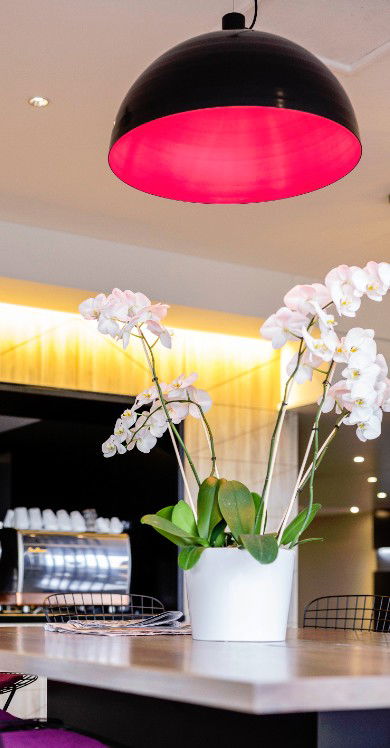 MRepublic Restaurant, Bar And Lounge - Restaurant Canberra 4