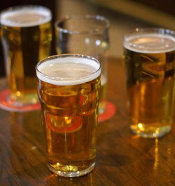 Rock Inne Tavern - Restaurant Canberra 2