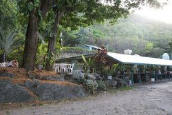 Ellis Beach QLD Restaurant Canberra