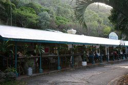 Ellis Beach Bar & Grill - Restaurant Canberra 1