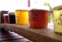 Moody Cow Brewery - Restaurant Canberra 1