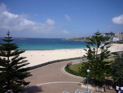 Aquarium - Restaurant Canberra 2