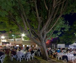 Premier Hotel - Restaurant Canberra 2