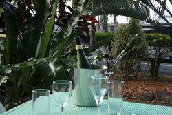 Ellis Beach Bar & Grill - Restaurant Canberra 3