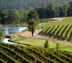 Donnybrook WA Restaurant Canberra
