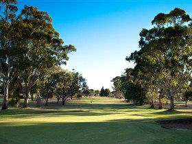 Loxton Golf Club - Restaurant Canberra 0