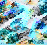 Alcohol Ink Art Class - Restaurant Canberra