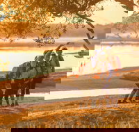 Brisbane Coastrek 2020 - Restaurant Canberra