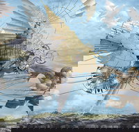 Dreams of Air and Flight - Restaurant Canberra