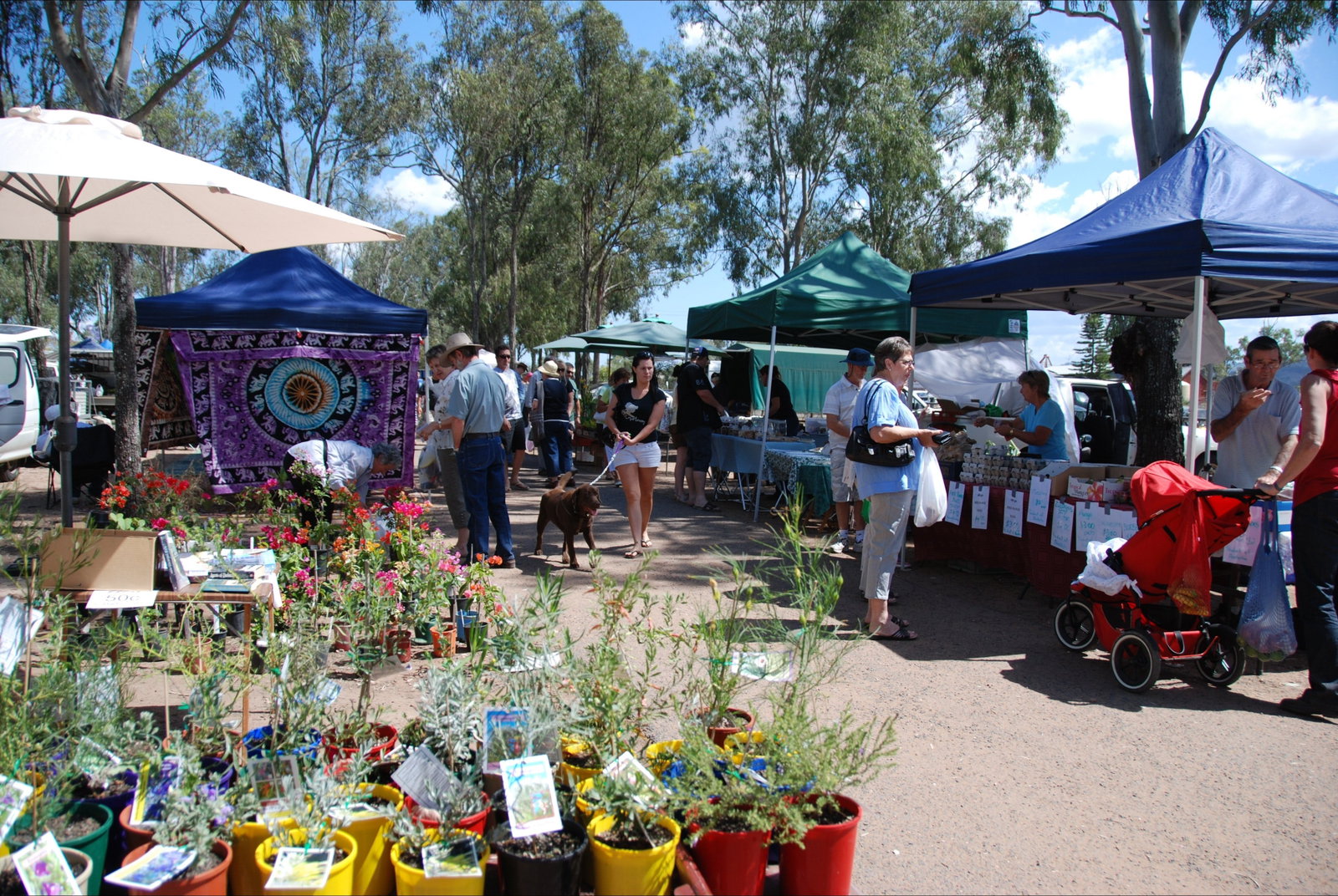 Fernvale QLD Restaurant Canberra