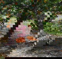 Fruit Bottling Sessions at Rayner's Orchard - Restaurant Canberra