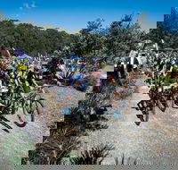 JetBlack Wild Wombat MTB Challenge - Restaurant Canberra