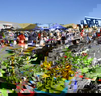 Maclean Community Monthly Markets - Restaurant Canberra