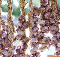 Meeniyan Garlic Festival