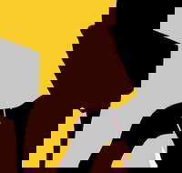 Naked Classics Fantastic Symphonies - Restaurant Canberra