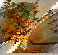 Online live streaming class DIY Skincare Products - Restaurant Canberra