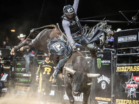 PBR Hawkesbury Stampede - Restaurant Canberra 0
