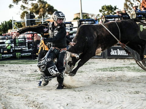 PBR Hawkesbury Stampede - Restaurant Canberra 2