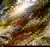 Run Dungog - Restaurant Canberra