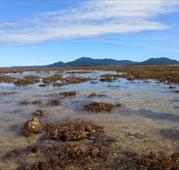 Walk to the Reef - Restaurant Canberra