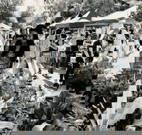 Yamba Farmers and Producers Market - Restaurant Canberra