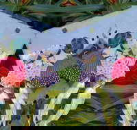 Acrylic Earring Workshop Native Florals - Restaurant Canberra