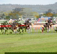 Aggies Race Day - Restaurant Canberra