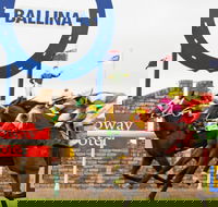 Ballina Boxing Day Races - Restaurant Canberra