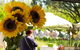 Blackville Arts And Market Day - thumb 0