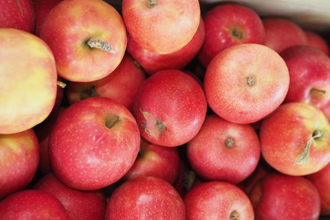 Blayney Farmers' Market - Restaurant Canberra 1