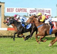 Casino Cup - Restaurant Canberra