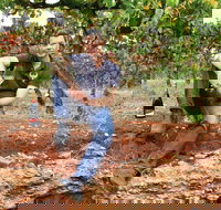 Cellar Dwellers Wine Dinner - Restaurant Canberra