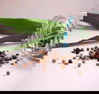 Cooking with Australian Indigenous Spices cooking class - Restaurant Canberra