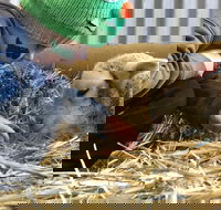 Horsham Agricultural Show - Restaurant Canberra