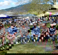 Jamming at Jingellic - Restaurant Canberra