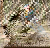 Jetblack 24 Hour - Restaurant Canberra