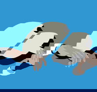 Petrenko's Shostakovich - Morning Symphony - Restaurant Canberra