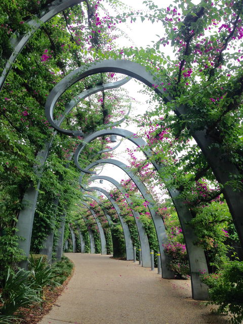 Photography Class / Tour Of Brisbane - Restaurant Canberra 0