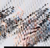 Pulse Perspectives - Restaurant Canberra