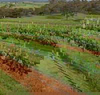 Razorback Ridge Wines Open Weekends - Restaurant Canberra