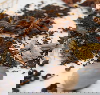 Red Hot Chilli Pepper Spice Blending Class - Restaurant Canberra