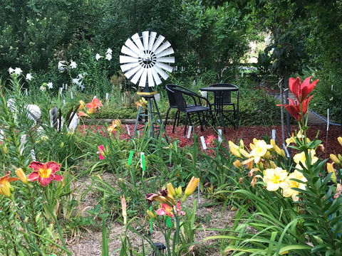 Riverina Iris Farm Open Garden And Iris Display - Restaurant Canberra 2