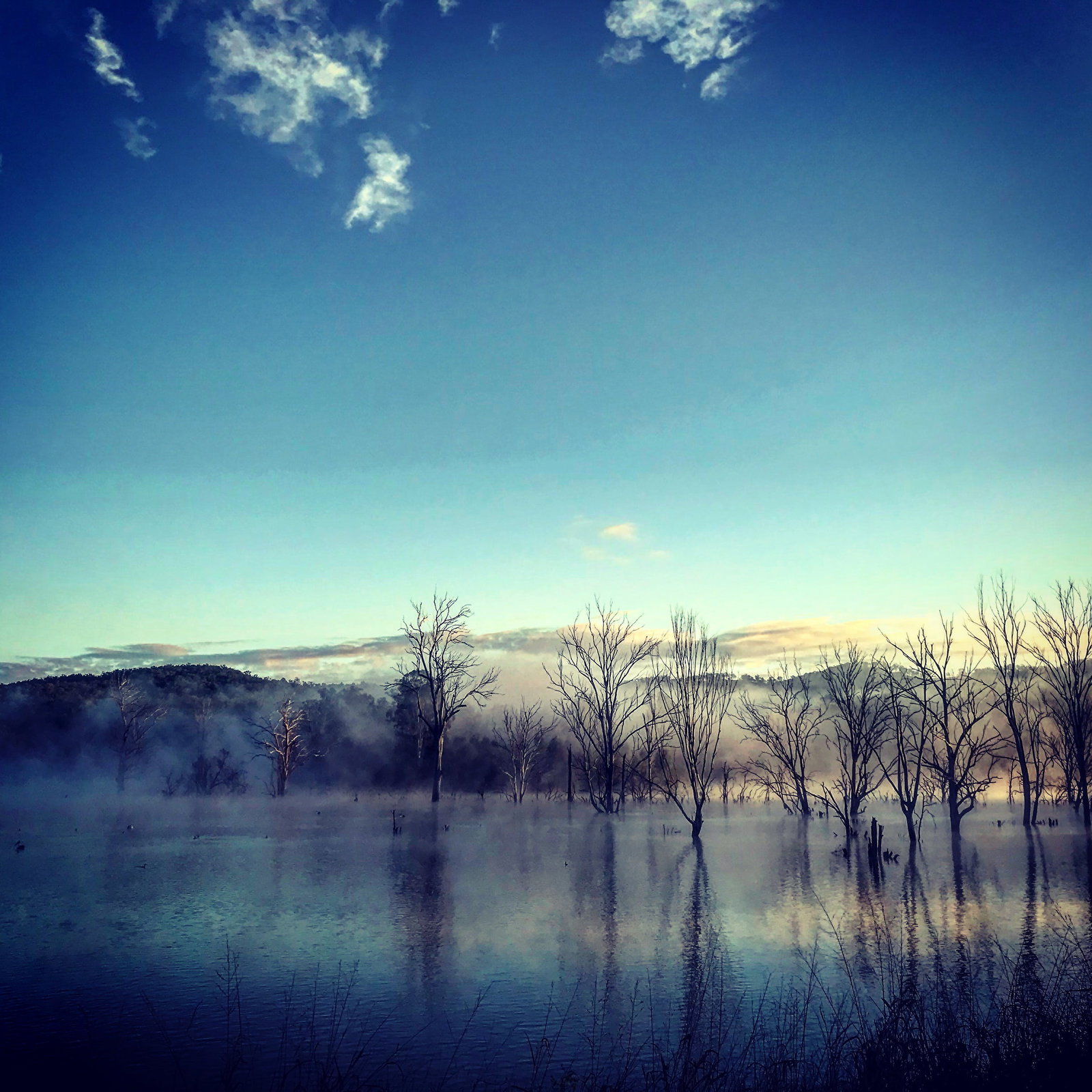 Dugandan QLD Restaurant Canberra