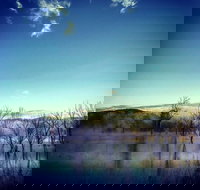 Scenic Rim Ultra - Restaurant Canberra